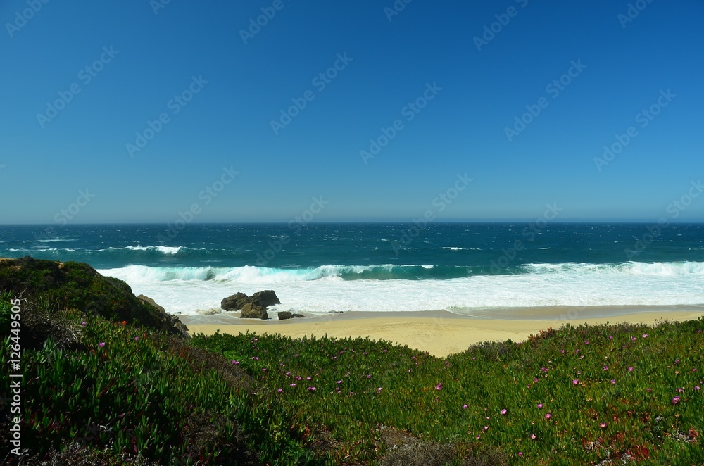 Big Sur, California