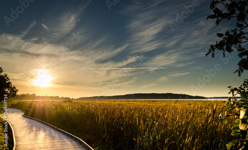 Obraz na plátně A wooden path by the river reaching the sunset