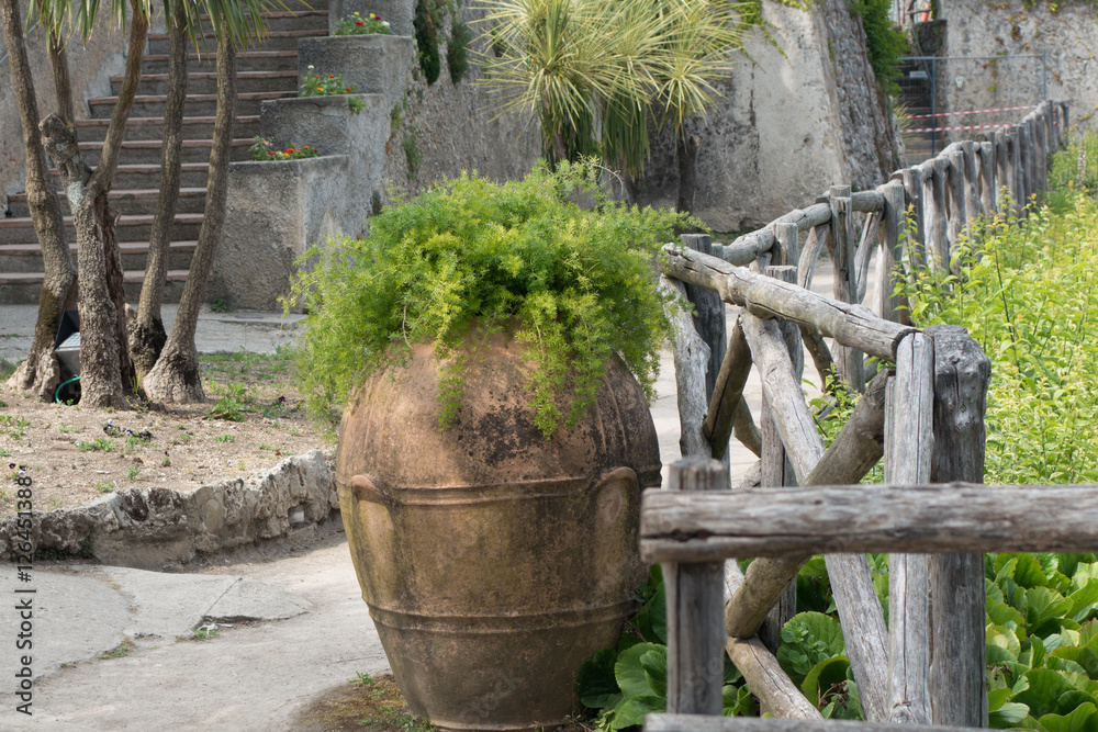 Old vase with flower; Old vase with flower;