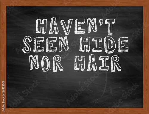 HAVENT SEEN HIDE NOR HAIR handwritten text on black chalkboard