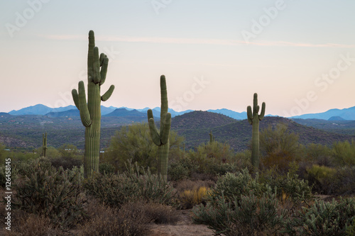 Arizona Desert Landscapes © jon manjeot