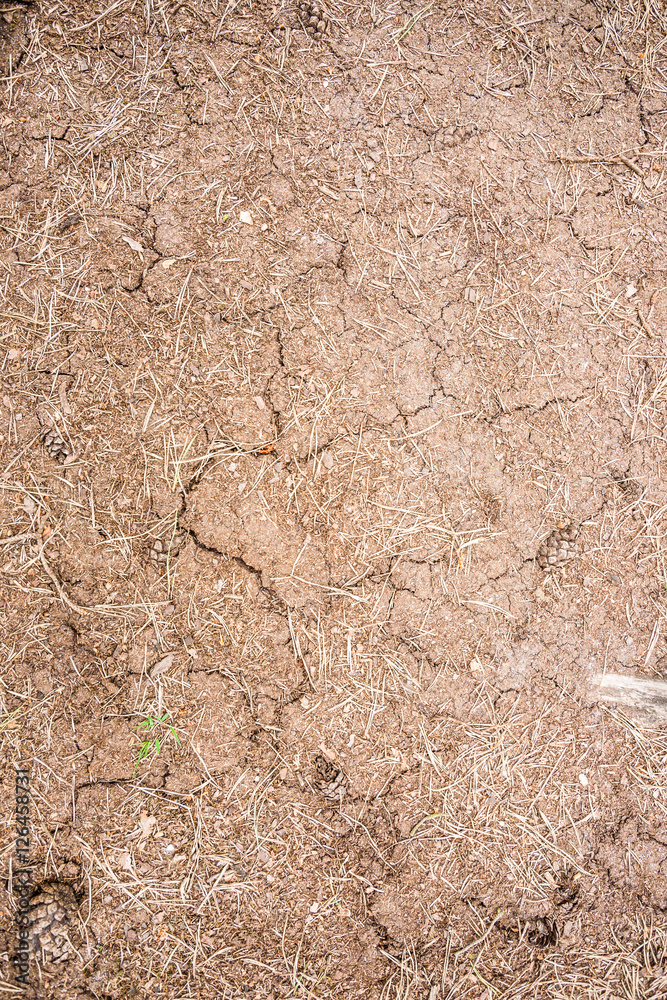 Cracked dry brown soil background Cracked dry brown soil background