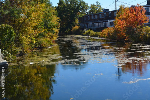 reflections of fall