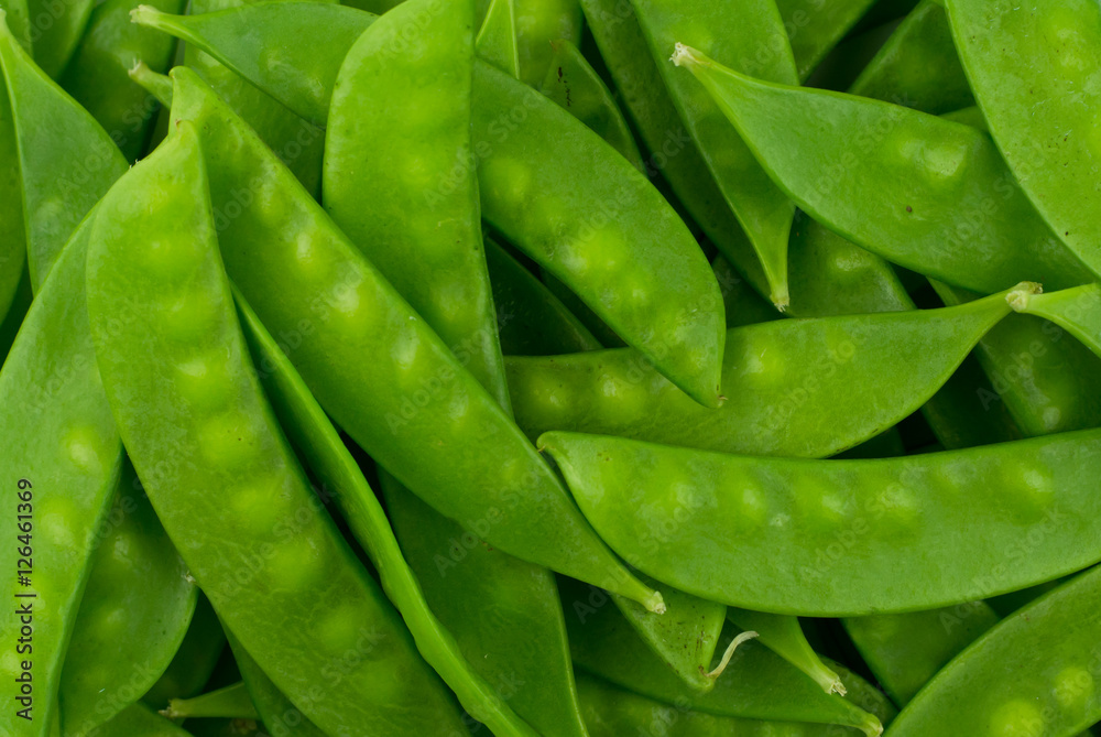 green snow pea pods background green snow pea pods background
