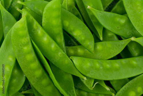 green snow pea pods background