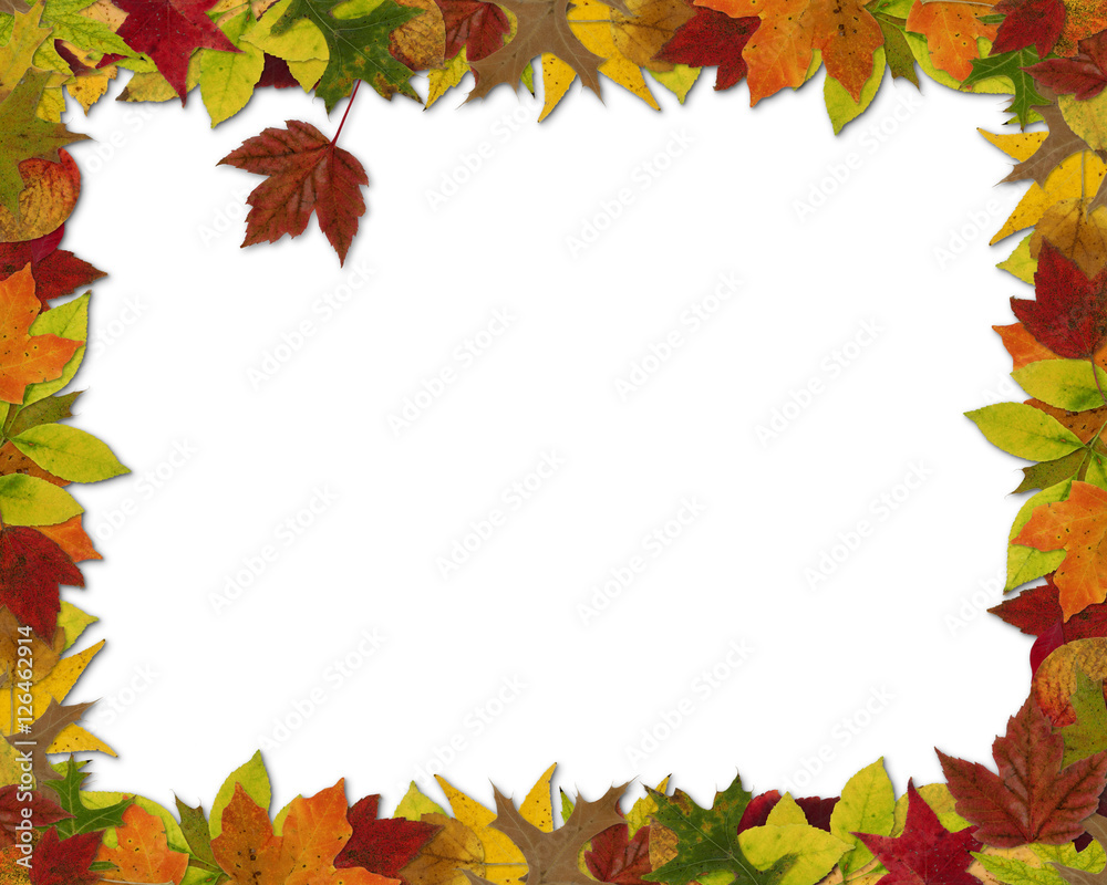 Fall Leaf Frame