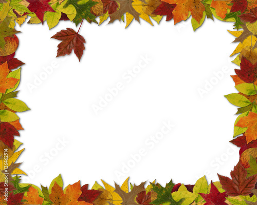 Fall Leaf Frame