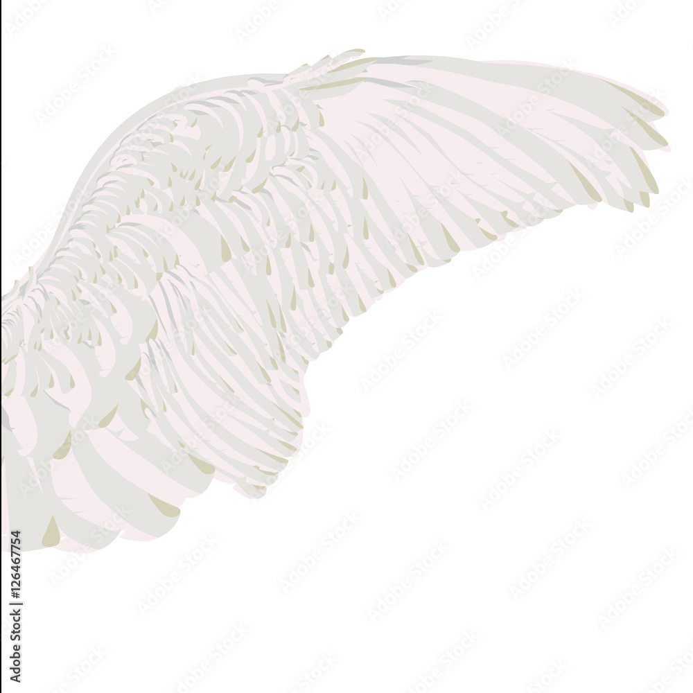 Дайте мне белые крылья. Дай мне белые крылья. Белые крылья песня. Котляров белые крылья. Дайте мне белые крылья утопаю в омуте.