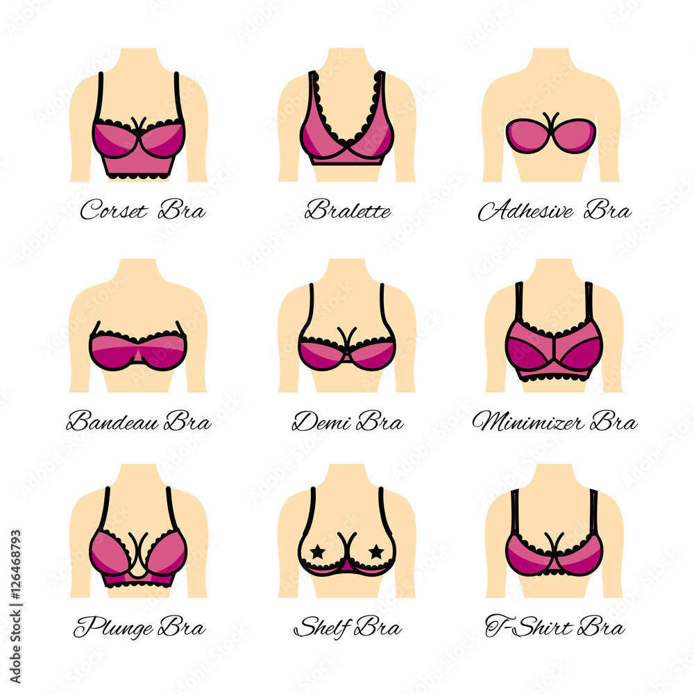 Kinds of bras. Icon tipes of bra. Stock Vector