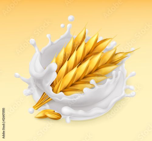 Wheat and milk splash. Barley realistic illustration. 3d vector icon