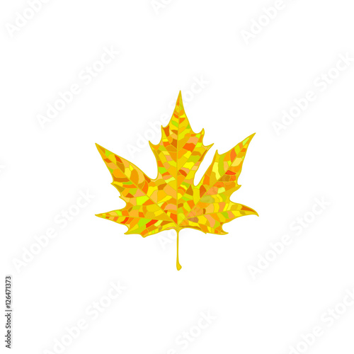 Color realistic autumn leaf. Vector illustration.