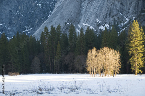 Ahwahnee Meadow, Yosemite photo