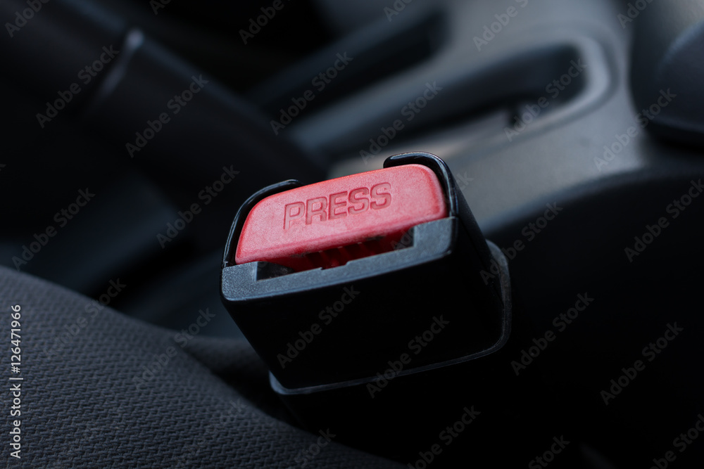 car seat belt car seat belt
