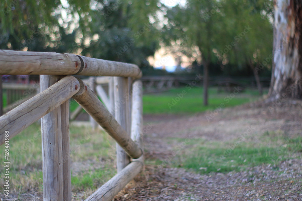 Fototapeta premium Parque del Guadiana-Zujar