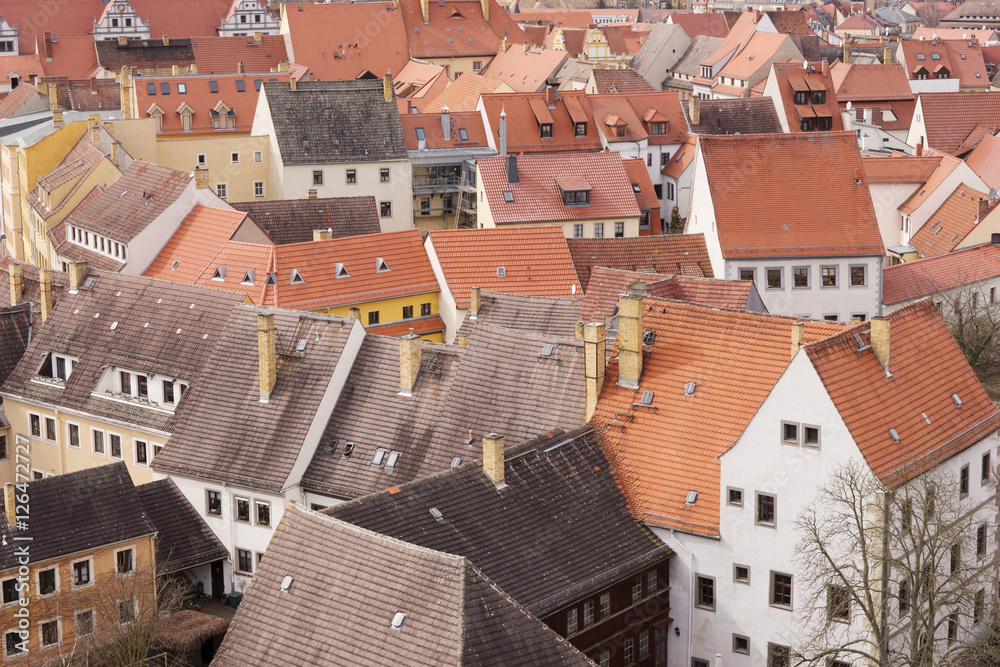 View over the old town of Torgau, Saxony, Germany