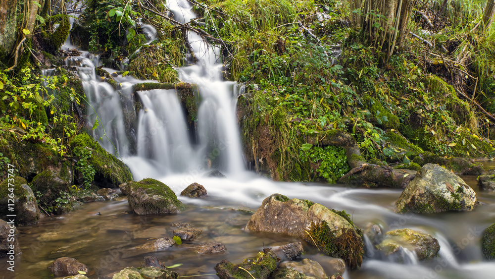 River deep in mountain forest. Nature composition, fresh image for spa relax