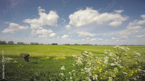 Dutch meadows in the spring on a beautiful day. photo