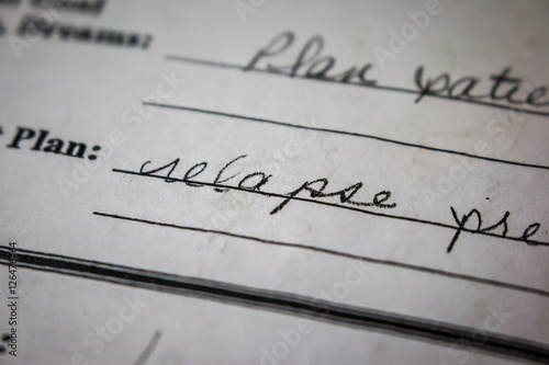 Writing on form in black ink close up. Focus on the word 