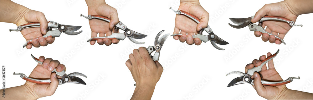 secateurs in hand isolated on white background secateurs in hand isolated on white background