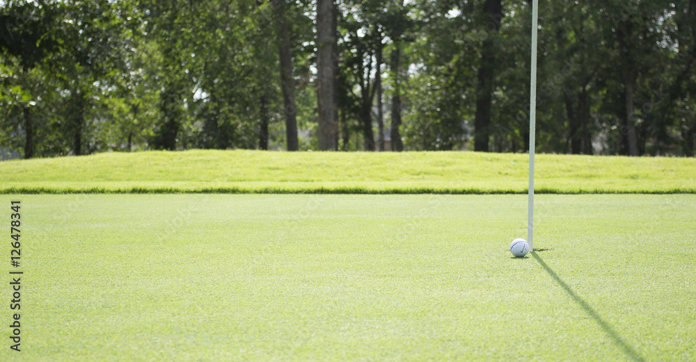 Obraz premium Golf Ball Rolling To The Hole On Golf Course