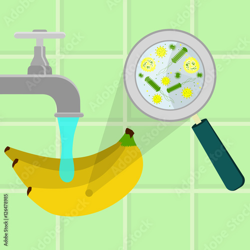 Contaminated banana being cleaned and washed in a kitchen. Microorganisms, virus and bacteria in the vegetable enlarged by a magnifying glass. Running tap water.