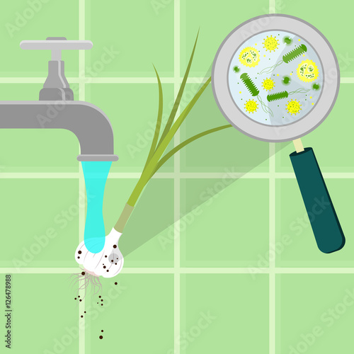 Contaminated garlic being cleaned and washed in a kitchen. Microorganisms, virus and bacteria in the vegetable enlarged by a magnifying glass. Running tap water. © drik