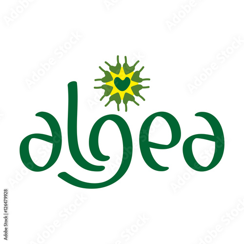 Microscobic Algea Icon and Logo Design
