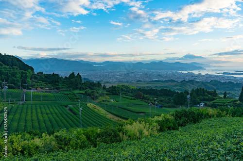Fototapeta Naklejka Na Ścianę i Meble -  Aerial view of green tea plantations and Shizuoka city