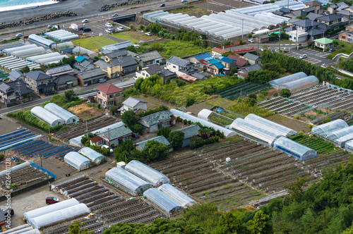 Aerial view of Shizuoka strawberry farms. Japan