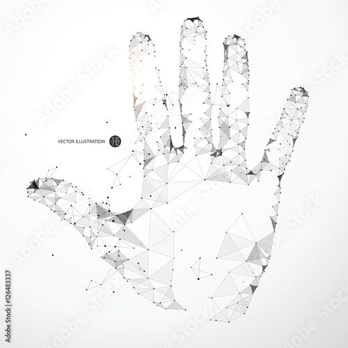 Points, lines, and faces form the shape of the palm.