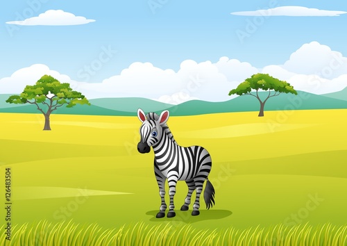 African landscape with zebra