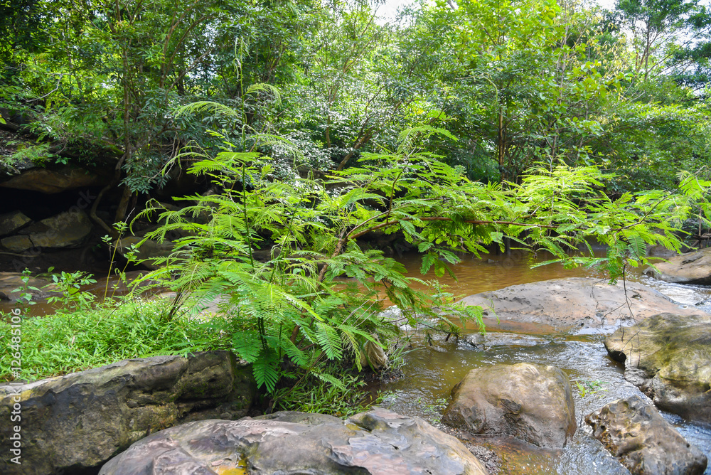 Kang Ka-am waterfall in Kalasin,Thailand Kang Ka-am waterfall in Kalasin,Thailand