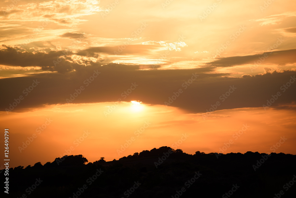 Sun setting behind silhouetted trees Sun setting behind silhouetted trees