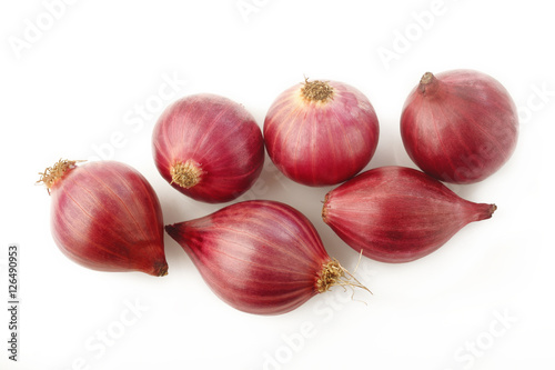 shallot onion isolated on white background