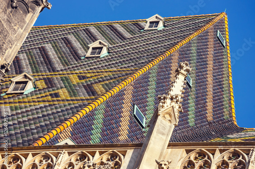 St. Stephen's Cathedral in Vienna, Austria photo