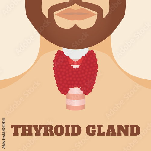 Thyroid gland and trachea shown on a silhouette of a man with a beard. Human body organs thyroid anatomy icon. Medical concept. Anatomy of people. Vector illustration.