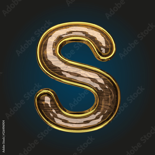 s vector golden letter with red wood