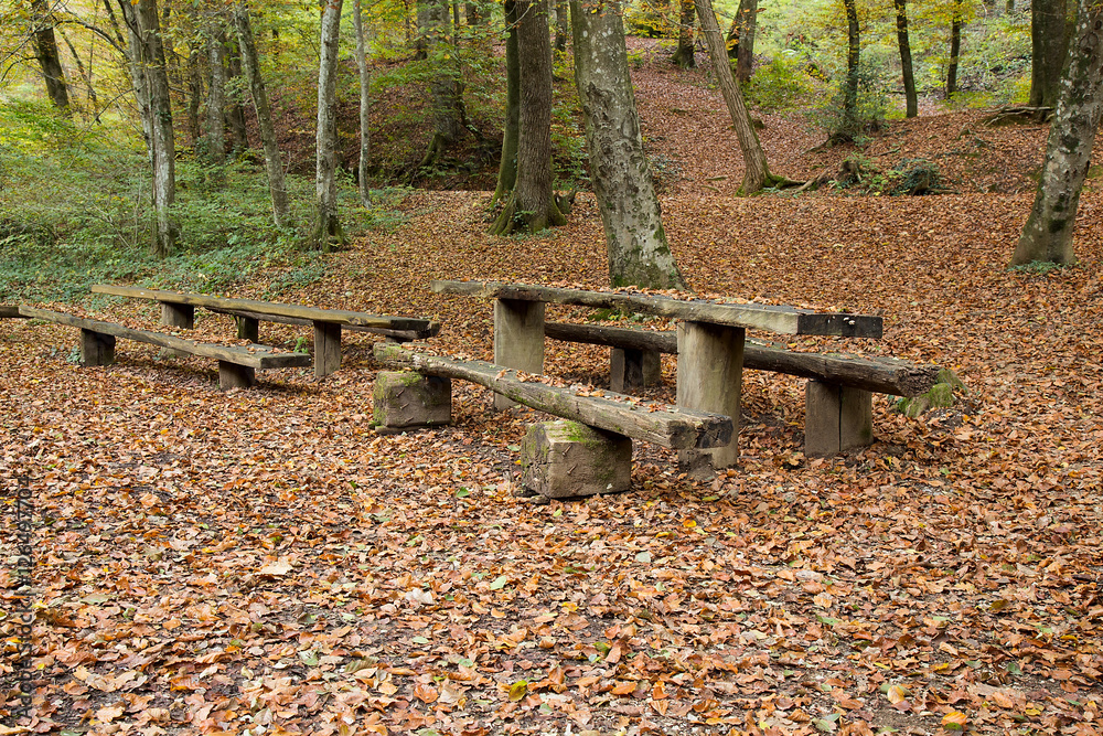 Picnic place in Forest - Autumn corours background Picnic place in Forest - Autumn corours background