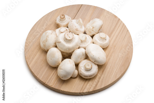  mushrooms