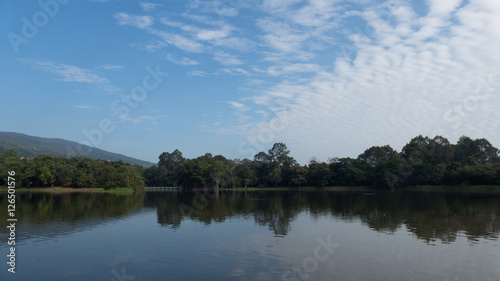 landscape of mountain and pond in park