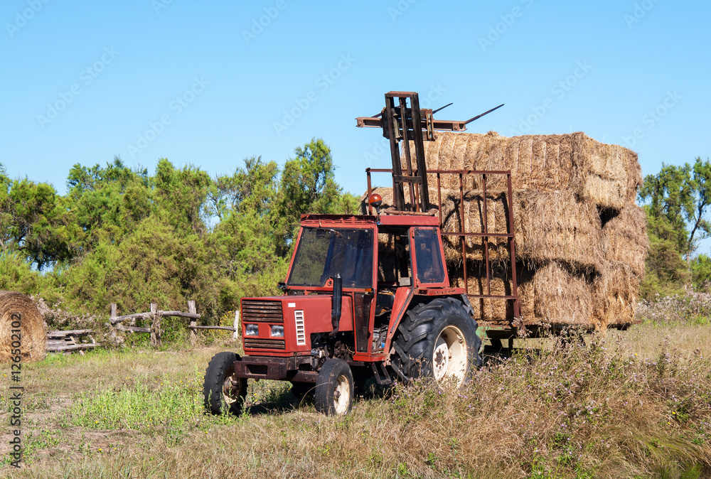 Tracteur et remorque de foin dans un champ Tracteur et remorque de foin dans un champ