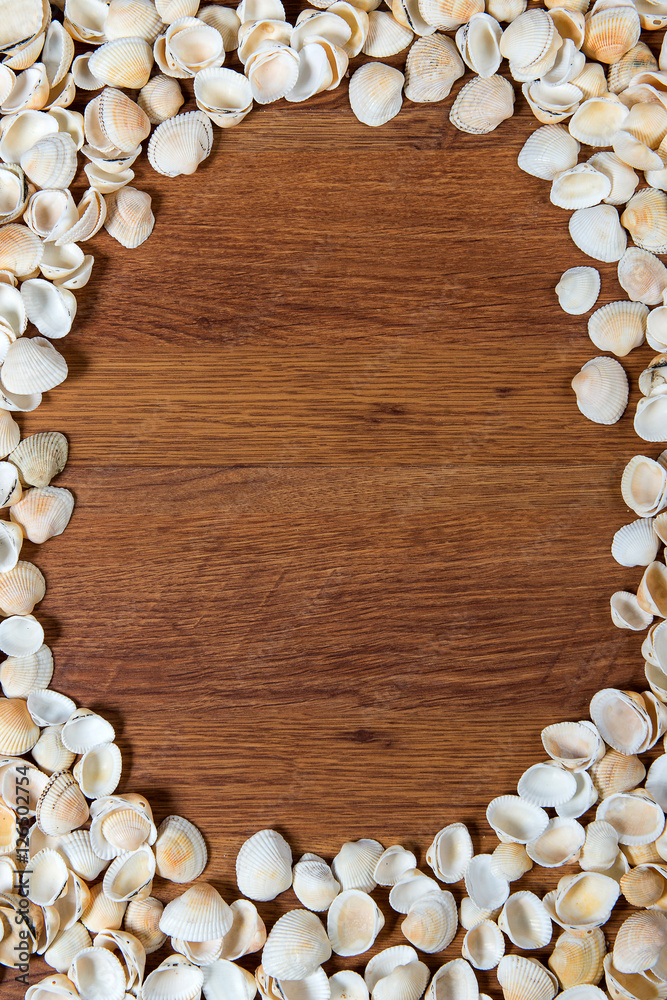 Sea shells on sand. Summer beach background. Top view. Seashells on a wooden table - a reminder of the summer vacation. Sea shells on sand. Summer beach background. Top view. Seashells on a wooden table - a reminder of the summer vacation.