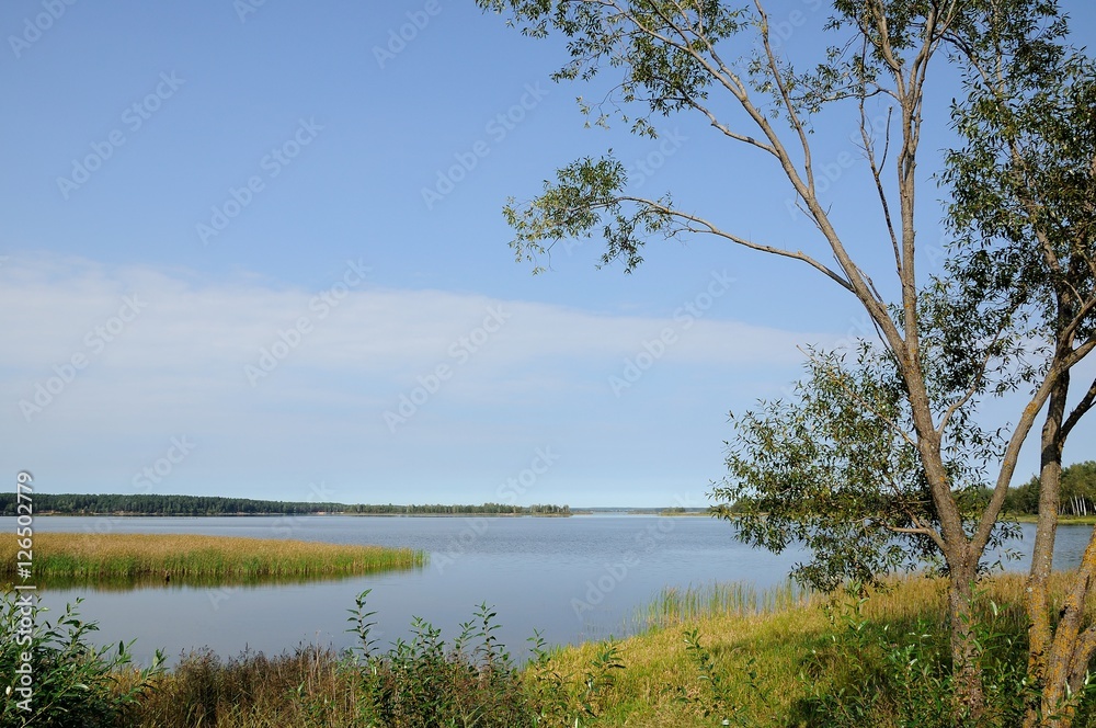 coast of the big beautiful lake under the clear summer sky coast of the big beautiful lake under the clear summer sky