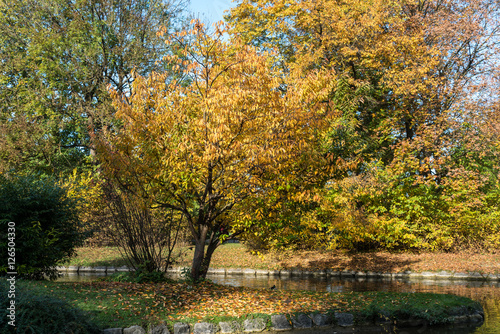 Herbst in M  nchen - Englischer Garten