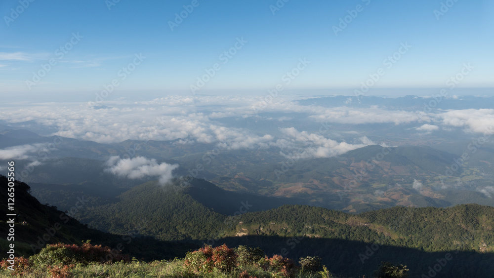 Obraz premium tropical forest and mountain landscape