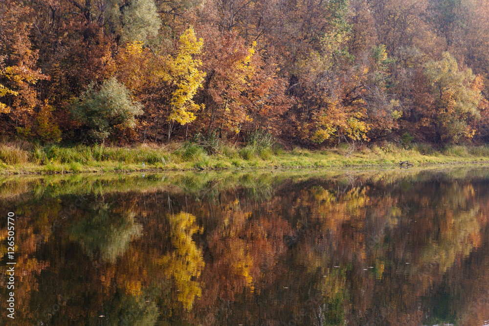 autumn landscape on the river autumn morning. Belarus autumn landscape on the river autumn morning. Belarus