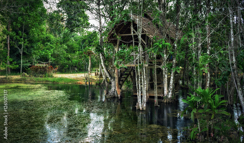 Old dilapidated shack on stilts in the jungle