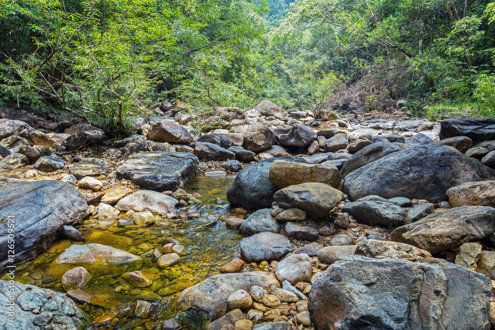 Stream in the tropical jungles Stream in the tropical jungles