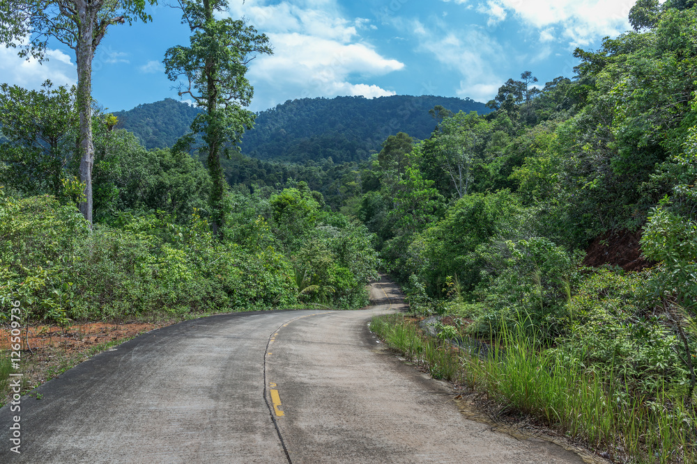 Highway in the tropics
