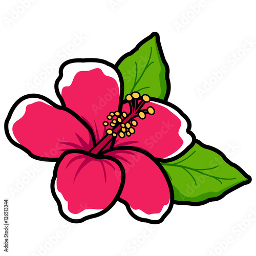 Hawaiian hibiscus flower. Vector illustration